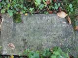 image of grave number 664015